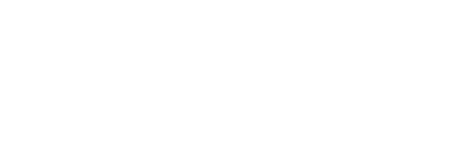 FCS Dış Ticaret Logo